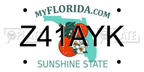 Z41AYK Florida License Plate