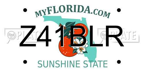 Z41BLR Florida License Plate