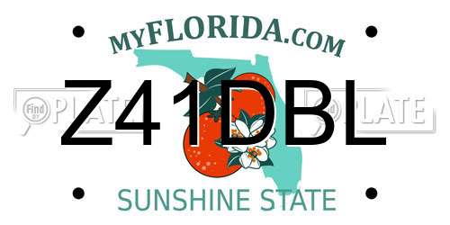 Z41DBL Florida License Plate