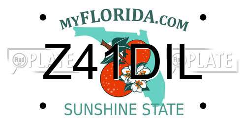 Z41DIL Florida License Plate