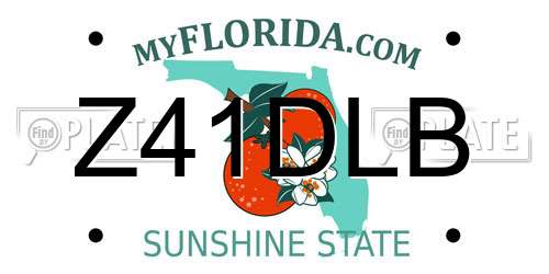 Z41DLB Florida License Plate