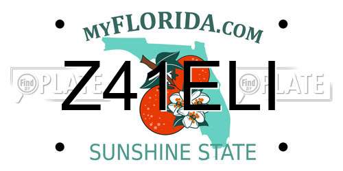 Z41ELI Florida License Plate