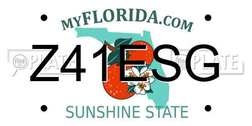 Z41ESG Florida License Plate