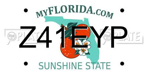 Z41EYP Florida License Plate
