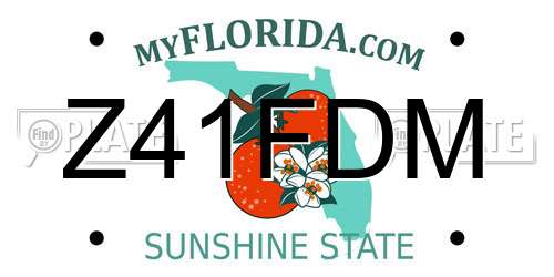Z41FDM Florida License Plate