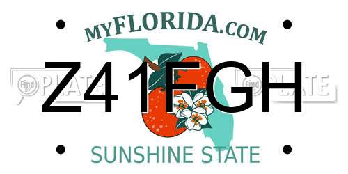 Z41FGH Florida License Plate