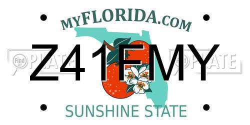 Z41FMY Florida License Plate