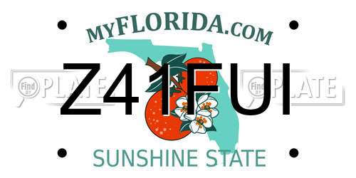 Z41FUI Florida License Plate