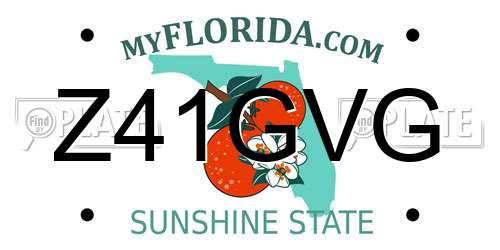 Z41GVG Florida License Plate