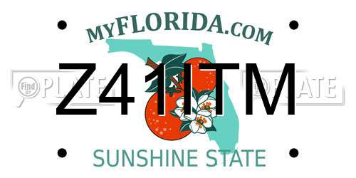 Z41ITM Florida License Plate
