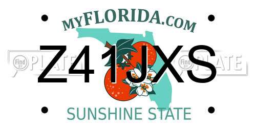 Z41JXS Florida License Plate