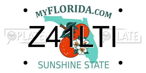 Z41LTI Florida License Plate