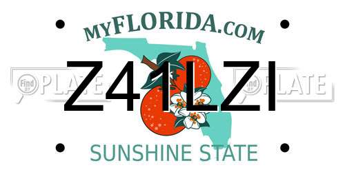 Z41LZI Florida License Plate