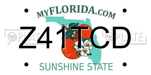 Z41TCD Florida License Plate