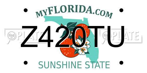 Z420TU Florida License Plate