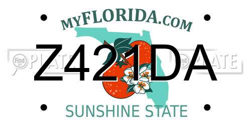 Z421DA Florida License Plate