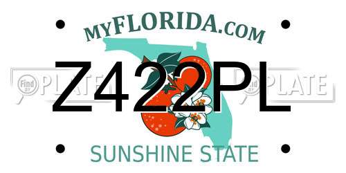 Z422PL Florida License Plate