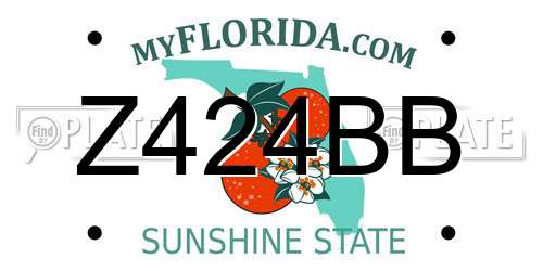 Z424BB Florida License Plate