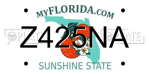 Z425NA Florida License Plate
