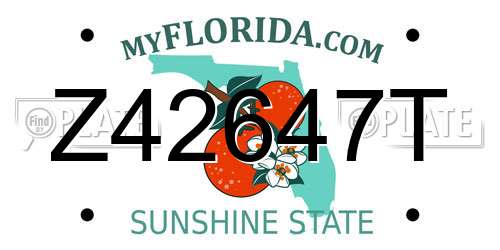 Z42647T Florida License Plate