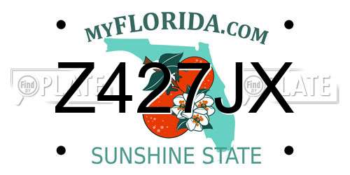 Z427JX Florida License Plate