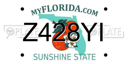 Z428YI Florida License Plate