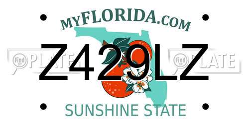 Z429LZ Florida License Plate