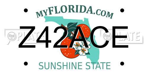 Z42ACE Florida License Plate