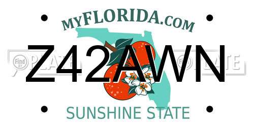 Z42AWN Florida License Plate