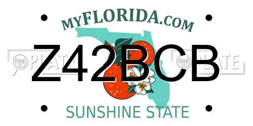 Z42BCB Florida License Plate