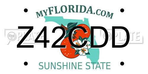 Z42CDD Florida License Plate