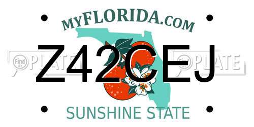 Z42CEJ Florida License Plate
