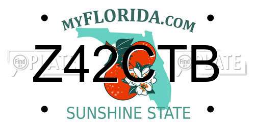 Z42CTB Florida License Plate