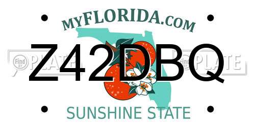 Z42DBQ Florida License Plate