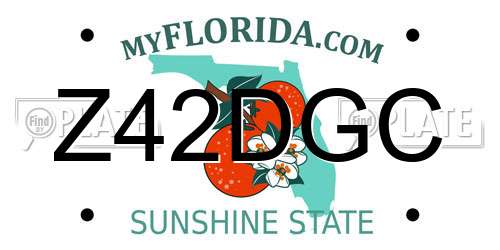 Z42DGC Florida License Plate
