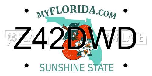 Z42DWD Florida License Plate