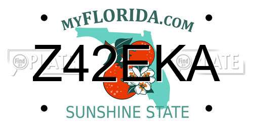 Z42EKA Florida License Plate