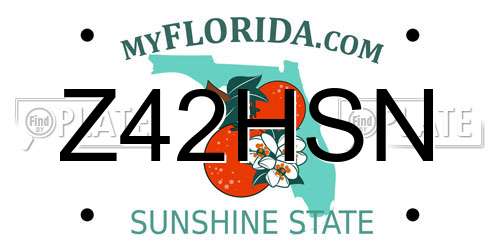 Z42HSN Florida License Plate