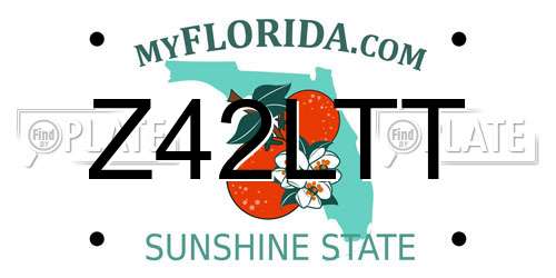 Z42LTT Florida License Plate