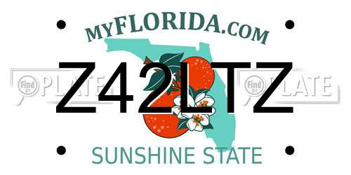 Z42LTZ Florida License Plate