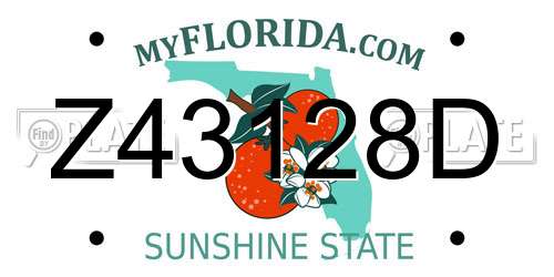 Z43128D Florida License Plate
