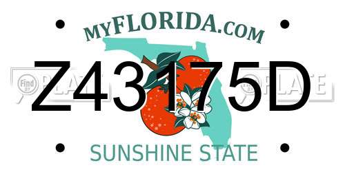 Z43175D Florida License Plate