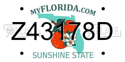 Z43178D Florida License Plate