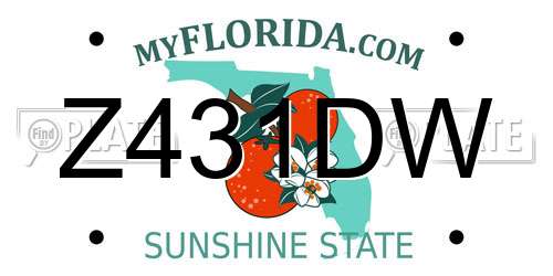 Z431DW Florida License Plate