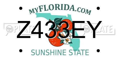 Z433EY Florida License Plate