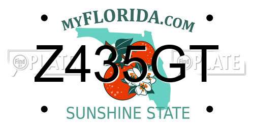 Z435GT Florida License Plate