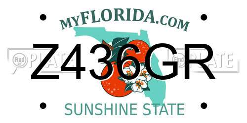 Z436GR Florida License Plate