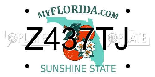 Z437TJ Florida License Plate