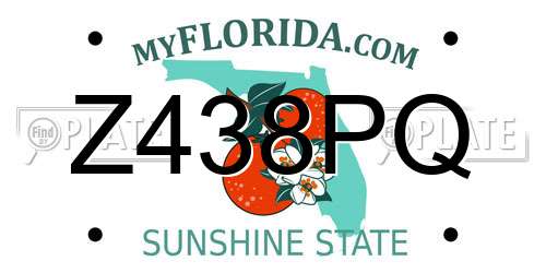 Z438PQ Florida License Plate