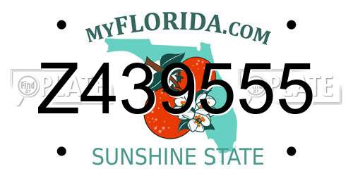 Z439555 Florida License Plate